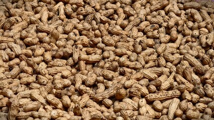 Pile of Roasted Peanuts in Shells Ready to be Eaten, Abundance of Earthnuts in Brown Shells Scattered Together, Unprocessed Snack