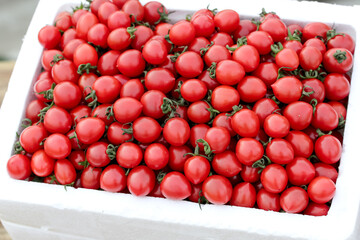 Fresh Red Cherry Tomatoes in White Container - Healthy Organic Produce for Cooking and Salads