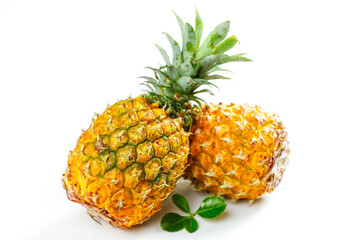 Fresh Sweet Pineapple Cut in Half Showing Golden Flesh from Xuwen Zhanjiang China