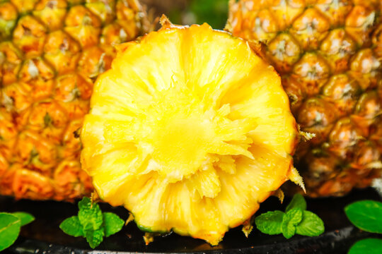 Hand-torn Sweet Pineapple Slice from Zhanjiang Xuwen with Fresh Crisp Flesh and Mint Garnish