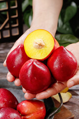 Fresh Red Nectarines with Yellow Flesh Held in Hands - Ripe Stone Fruit Display