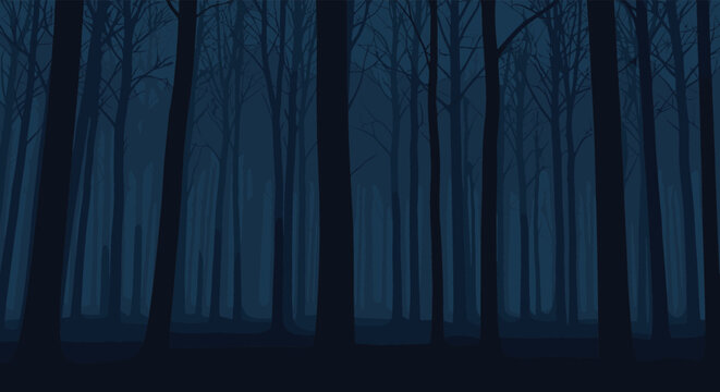 The dark and eerie forest at night with silhouetted trees and fog.