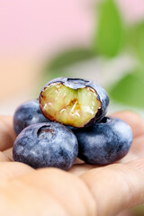 Fresh Organic Blueberries in Hands with Cut Berry Showing Juicy Interior