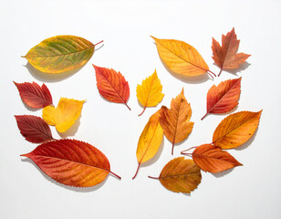 Obraz premium 秋 生成AI 水彩 アイコン