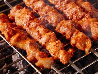 Grilled Meat Skewers on BBQ Grill - Zibo Style Street Food Barbecue Cooking