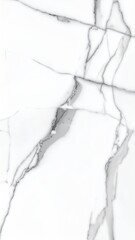 Close Up of Chocolate Chip Cookie on a Neutral Food Background in Warm Cinematic Lighting