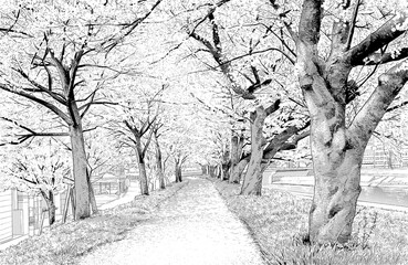 漫画風ペン画イラスト　河川敷