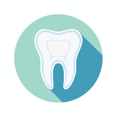 A detailed illustration of a white molar tooth with visible enamel and roots, highlighting its anatomical structure and smooth surface