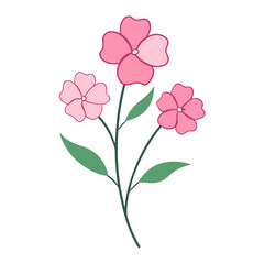 a branch of nemesia poetry  pink  flower vector on white