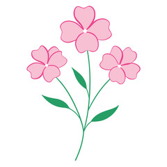  nemesia poetry  pink flower line art vector on white