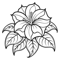 minimal nicandra physalodes flower line art vector illustration isolated on white 