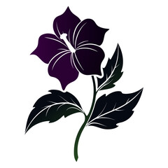 silhouette nicandra physalodes flower vector illustration isolated