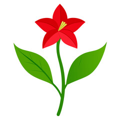  nicotiana tabacum flower vector on white background