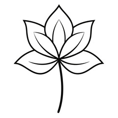 nolana paradoxa lindl flower line art vector on white