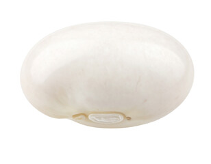 Minimalist White Bean Isolated PNG