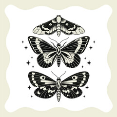 Elegant Moth Collection A Trio of Winged Wonders in Detailed Illustration.