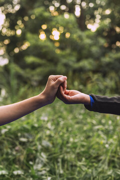 Manos de pareja entrelazadas simbolizando uni&oacute;n, amor y confianza en un entorno natural