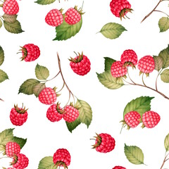 Raspberry seamless pattern with berries and leaves, hand-drawn botanical illustration