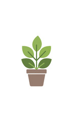 Fototapeta premium Plant in pot illustration green leaves isolated on black background