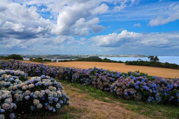 Fototapety na wymiar - Fototapeta24.pl