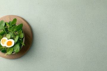 Fresh greens with sliced eggs create vibrant, healthy dish on wo