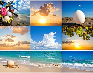 Nine scenic images beach, ocean, eggs, sunrise, sunset, clouds, and tropical foliage