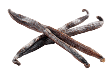 Dried vanilla beans crossed, close-up