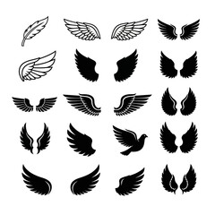 Obraz premium Collection of Black and White Wing Designs