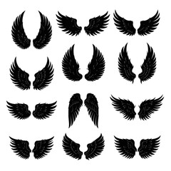 Collection of Black Wing Silhouettes on White Background
