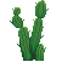 cactus pixel art