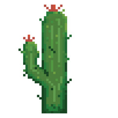cactus pixel art