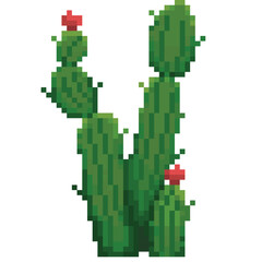 cactus pixel art