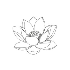 Detailed Black and White Lotus Flower Outline