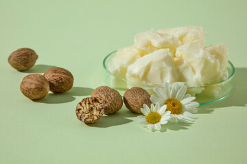 Still life on green background with raw shea butter, shea nuts, and chamomile blossoms. Minimal organic theme for wellness and cosmetic branding.