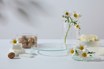 Still life of chamomile flowers, shea butter, and nuts arranged together in natural soft shadows. Designed for natural wellness and skincare concepts.