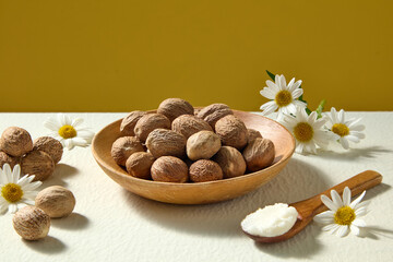 Wooden bowl full of raw shea nuts placed with chamomile flowers on clean white surface, styled for organic cosmetic ingredient concept.