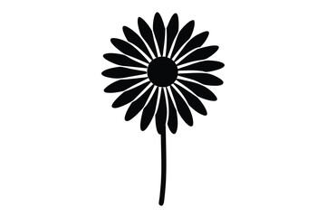 daisy flower vector icon illustration design
