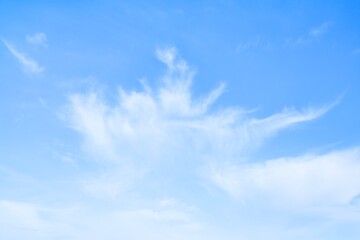 Sky Replacements New Zealand Okay Day 