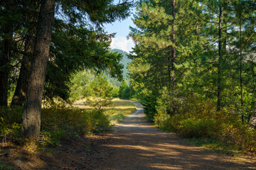 Obraz premium Bighorn Blackrock Trail #42