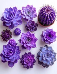 Purple Succulents Arrangement