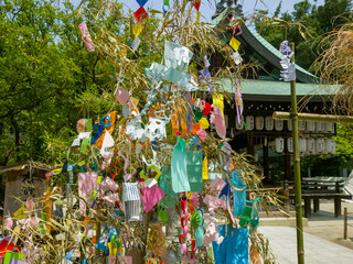 神社での夏のイメージの七夕にちなんだ七夕飾りや無病息災を願う夏の歳時の夏越しの祓えの茅の輪くぐりのイメージ