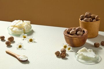 Natural arrangement of shea butter, nuts, chamomile and wooden spoon on beige background, evoking wellness, spa and skincare ingredient use.