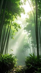 Peaceful Bamboo Forest Pathway.