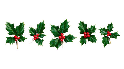 Bright green holly with red berries for cheer, created AI, PNG