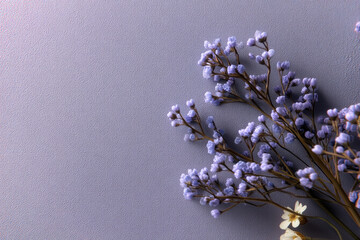 Soft lavender sprigs and delicate white flowers on textured purple background create calm, elegant floral arrangement