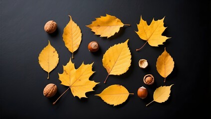 Yellow Autumn Leaves and Nuts Arranged on Dark Background