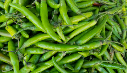 A vibrant pile of fresh green chili peppers with stems, densely packed and ideal for culinary, agricultural, or market-themed visuals.