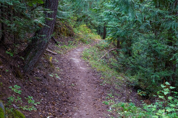 Callahan Creek Trail