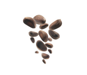 Pine nuts levitate on a white background