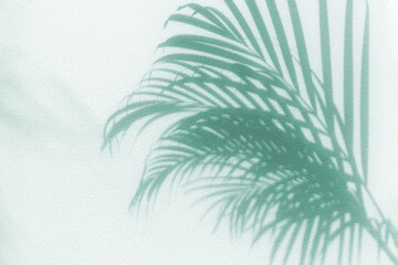 Palm tree leaf shadow on white textured wall background, tropical leaves silhouette on light surface, abstract plant branch decoration, floral pattern backdrop, foliage border, art summer nature frame